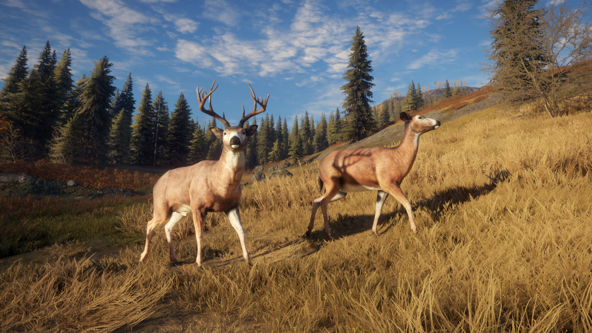 Save 73 On Thehunter Call Of The Wild On Steam