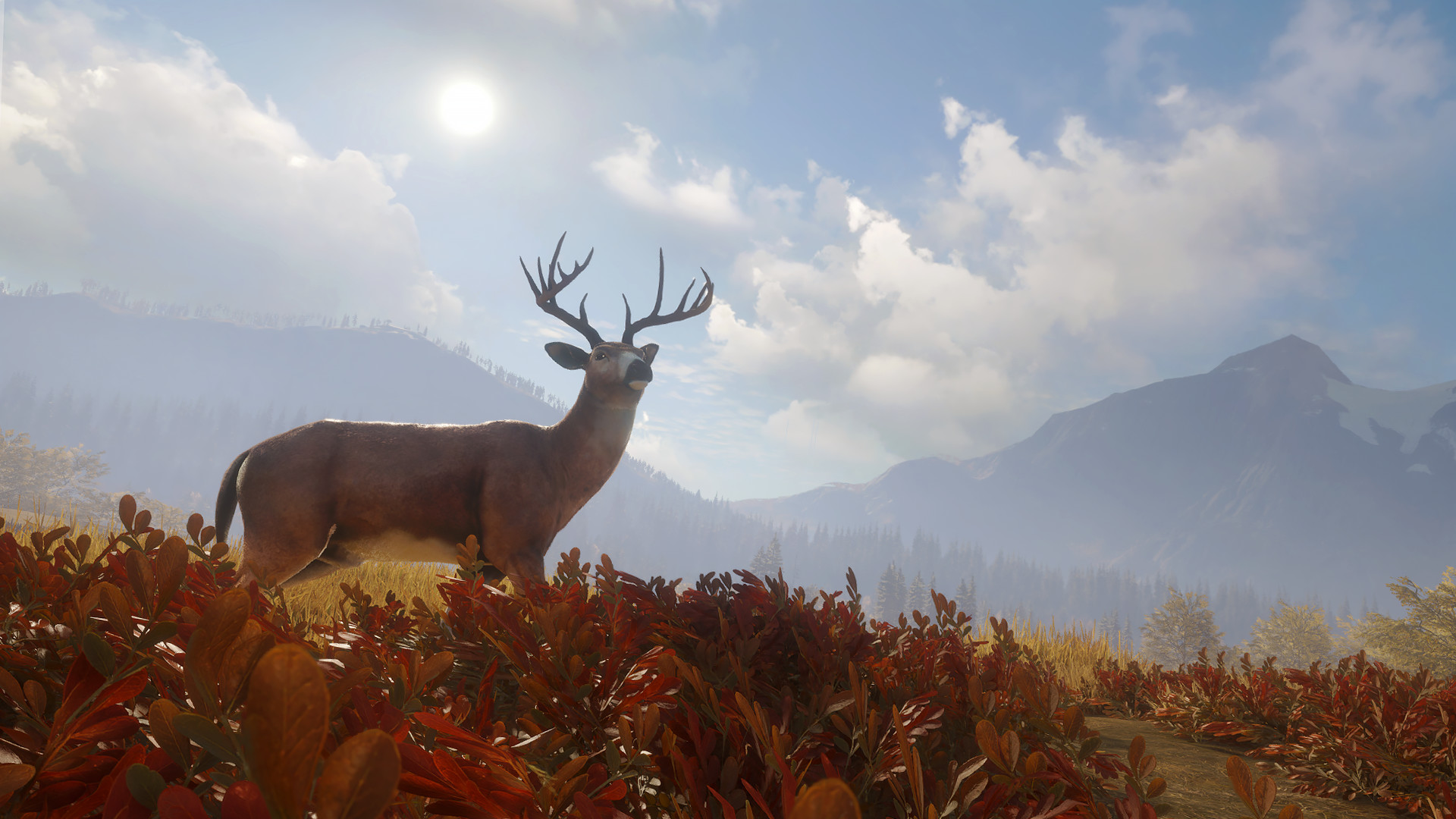 thehunter call of the wild release date