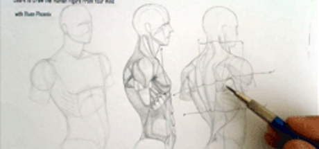 free app for muscle building
