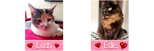 Purrfect Date thumbnail