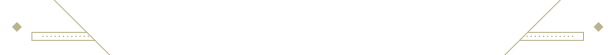 _BC__STEAM_About_the_game_616x55_px_white.png