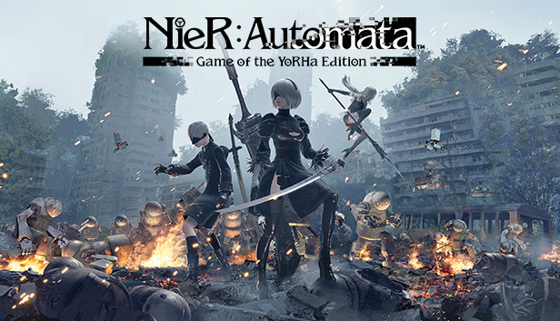 https://store.steampowered.com/app/524220/NieRAutomata/
