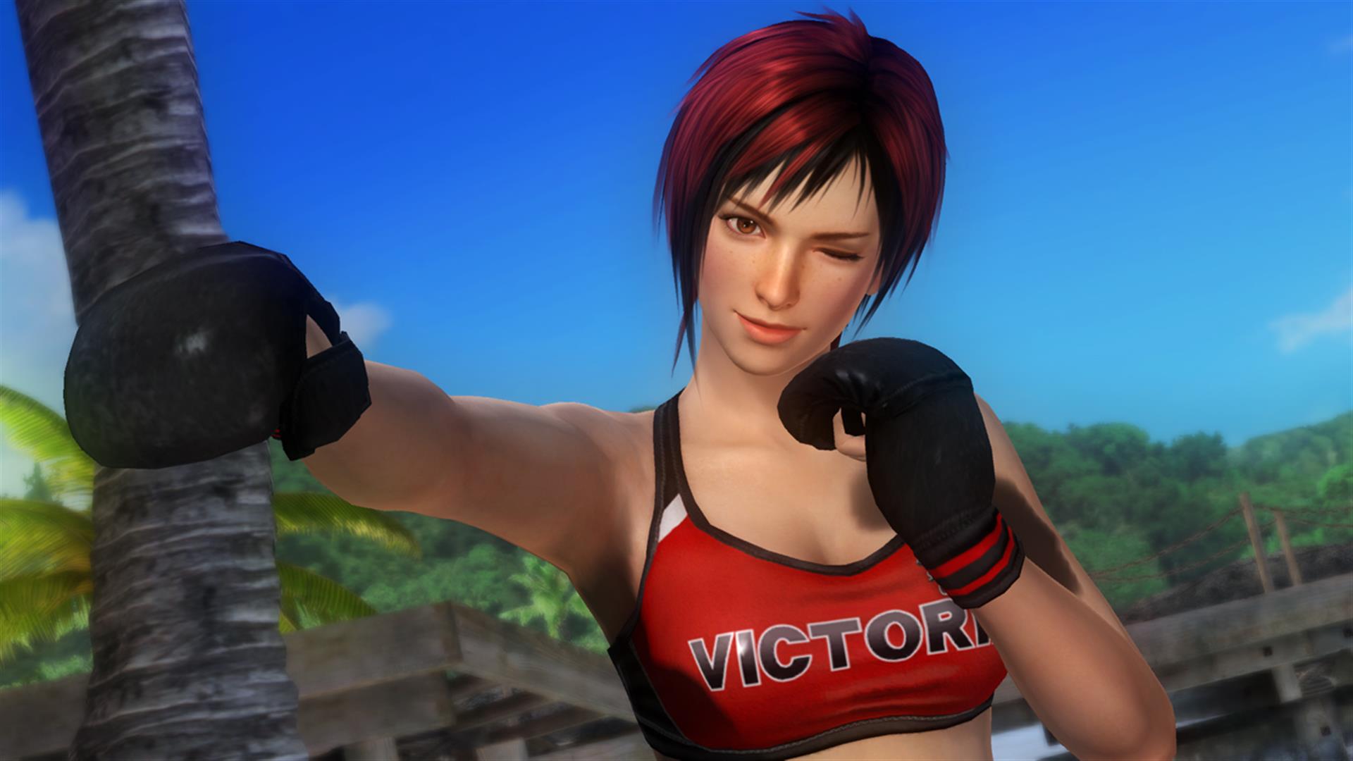 Dead or Alive 5 Preview - MMA Fighter And Newcomer Mila Announced For Dead  Or Alive 5 - Game Informer