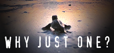 Why Just One? achievements game banner