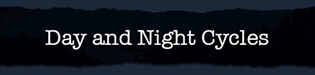 Survive the Nights Survive the Nights