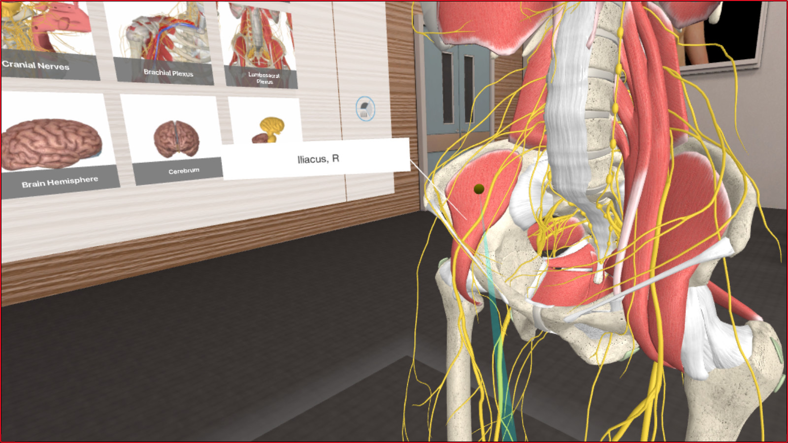 Oculus Quest 游戏《3D Organon VR Anatomy 2021》3D Organon VR 人体解剖学插图(2)