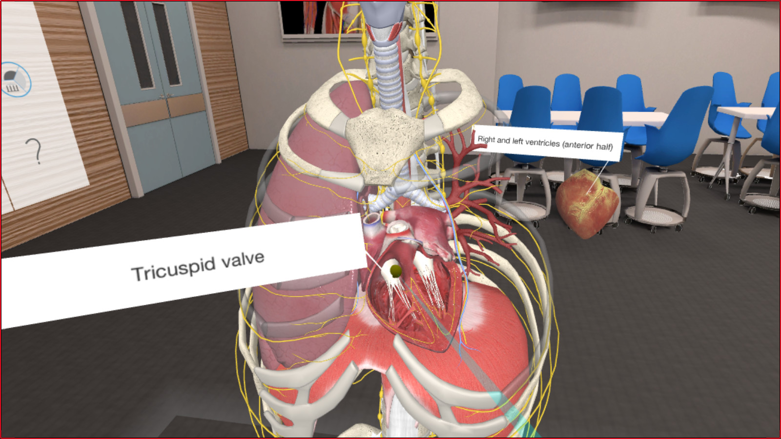 Oculus Quest 游戏《3D Organon VR Anatomy 2021》3D Organon VR 人体解剖学插图(1)