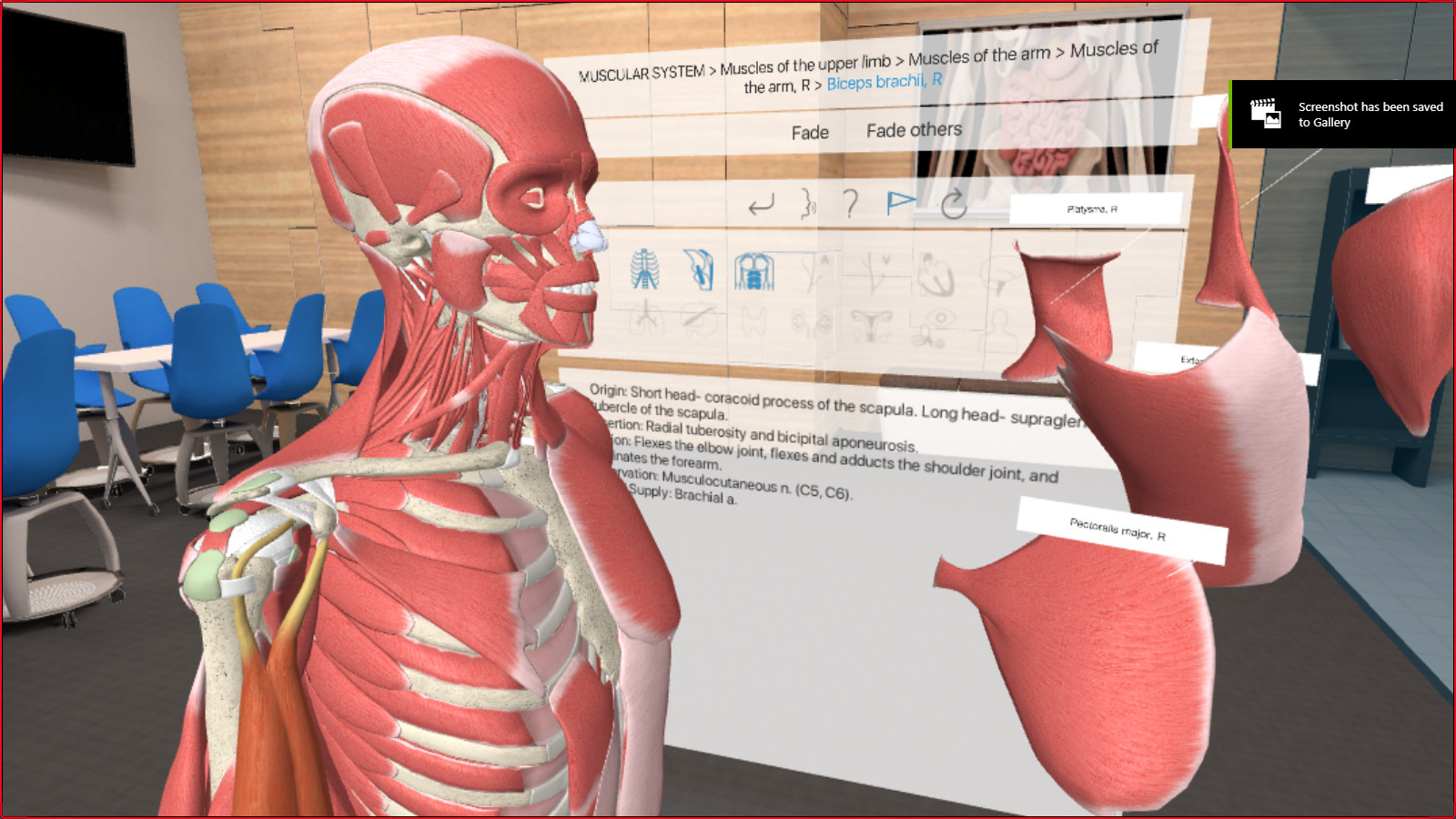Oculus Quest 游戏《3D Organon VR Anatomy 2021》3D Organon VR 人体解剖学插图