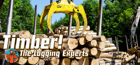 Timber! The Logging Experts concurrent players on Steam