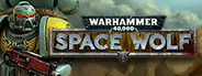 Warhammer 40,000: Space Wolf
