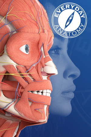 Everyday Anatomy VR