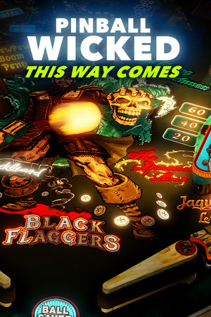 Pinball Wicked cover