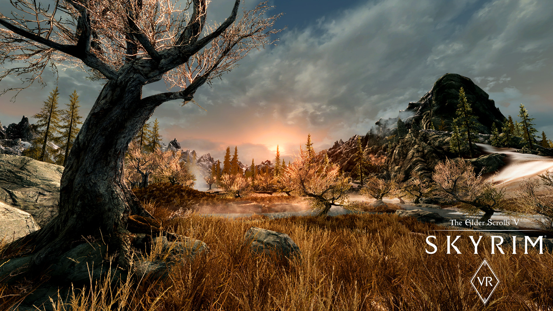 The Scrolls Skyrim VR Steam