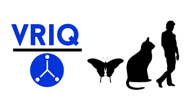 VRIQ Steam capsule image