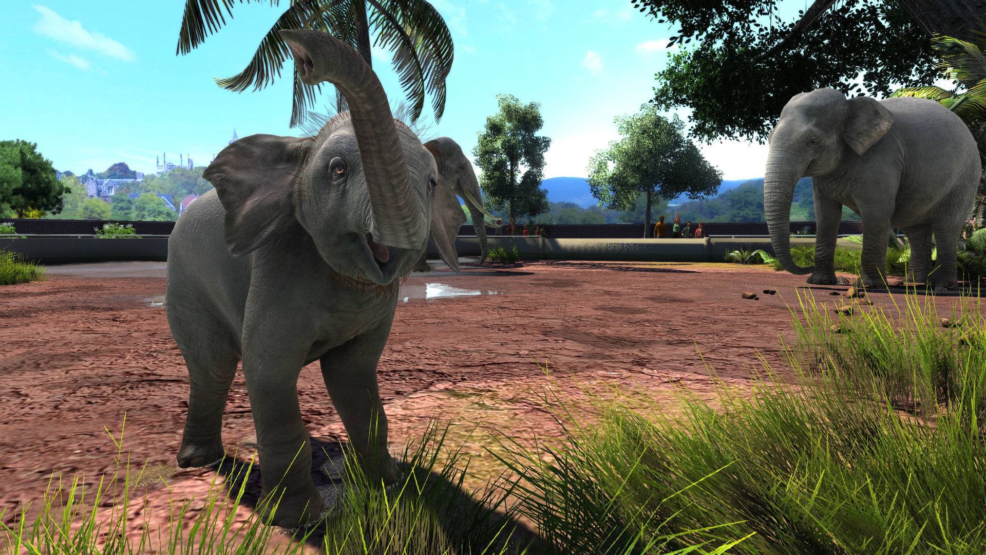 zoo tycoon 2 ultimate collection buy online download