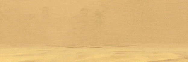 GIF3.jpg