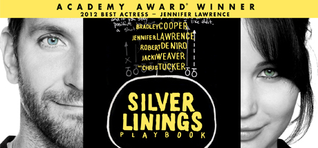 Silver Linings Playbook concurrent players on Steam