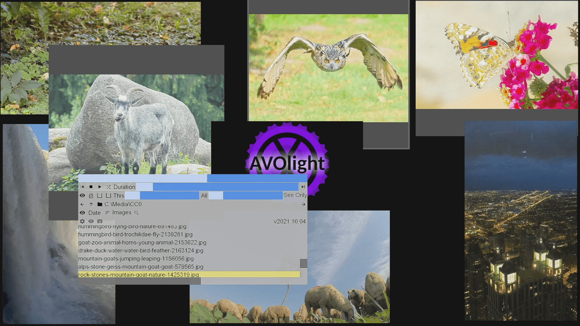1 multi screen media player gallery video wall photo slideshow wizard