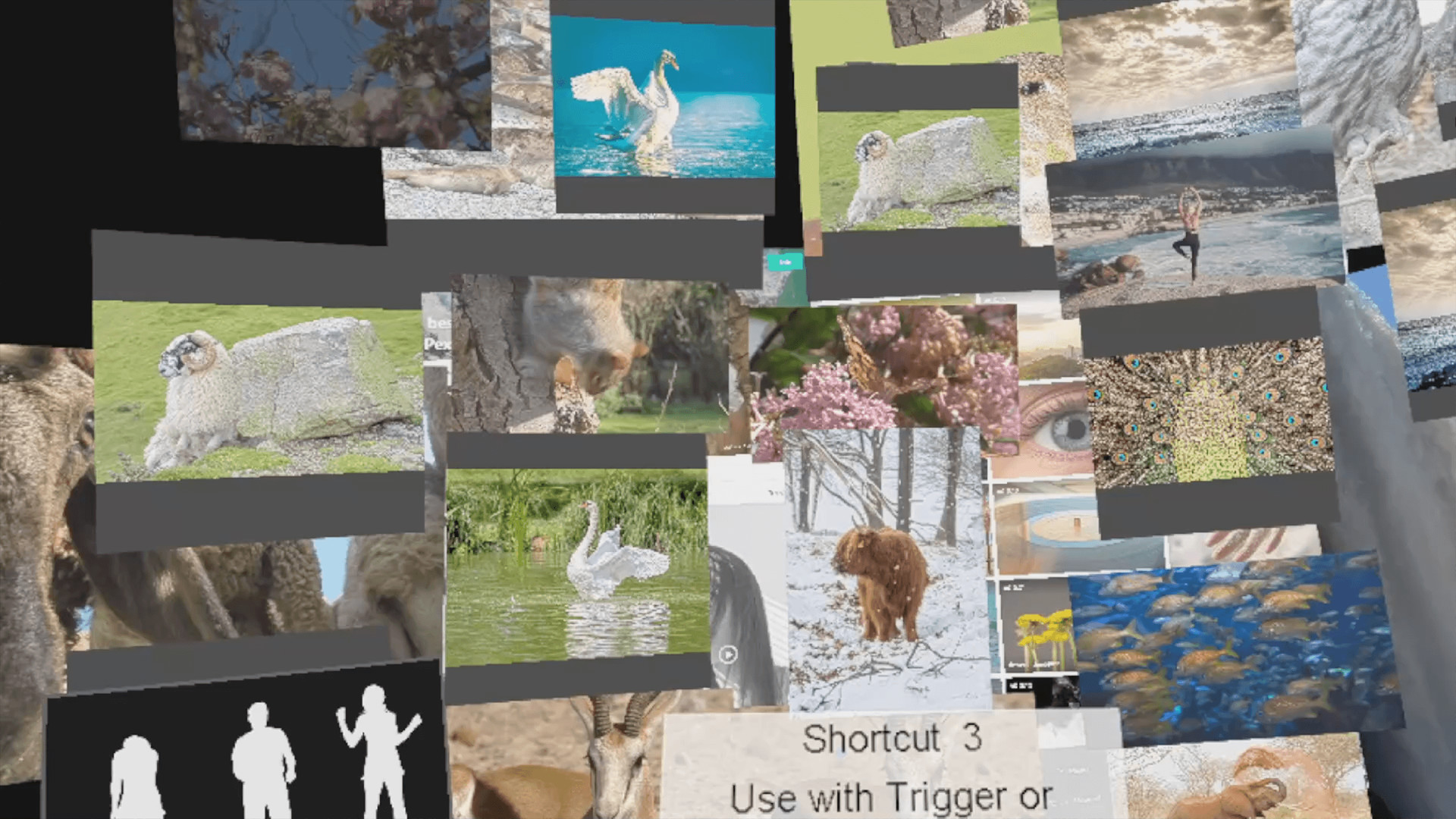 1 multi screen media player gallery video wall photo slideshow wizard