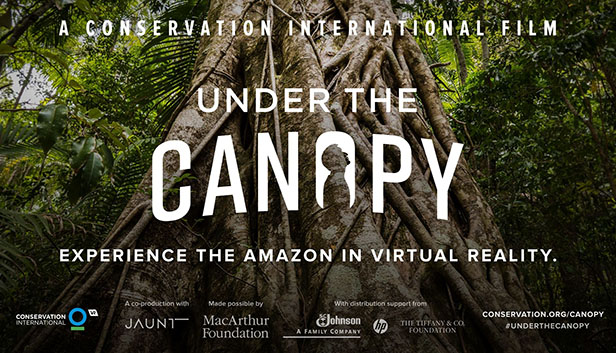 Under the Canopy Steam capsule image