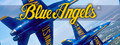 Blue Angels Aerobatic Flight Simulator