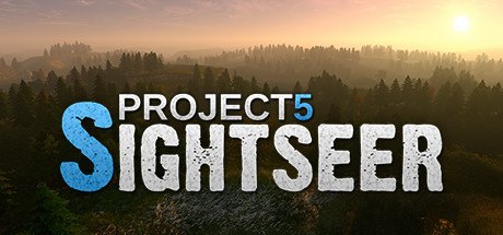 Project 5: Sightseer concurrent players on Steam