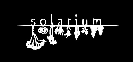 Solarium concurrent players on Steam
