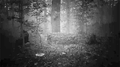 Early Access - All MODs & APKs