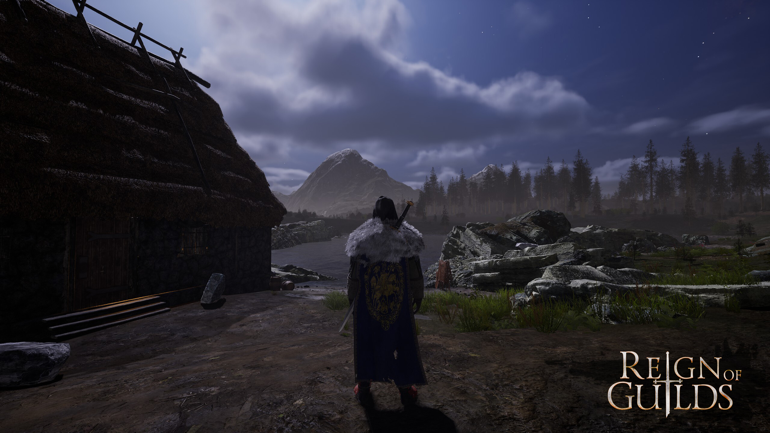 Reign of guilds профессии. Reign of guilds профессии. Reign of guilds. Воин в поле. Reign of guilds профессии.