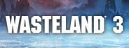 Wasteland 3