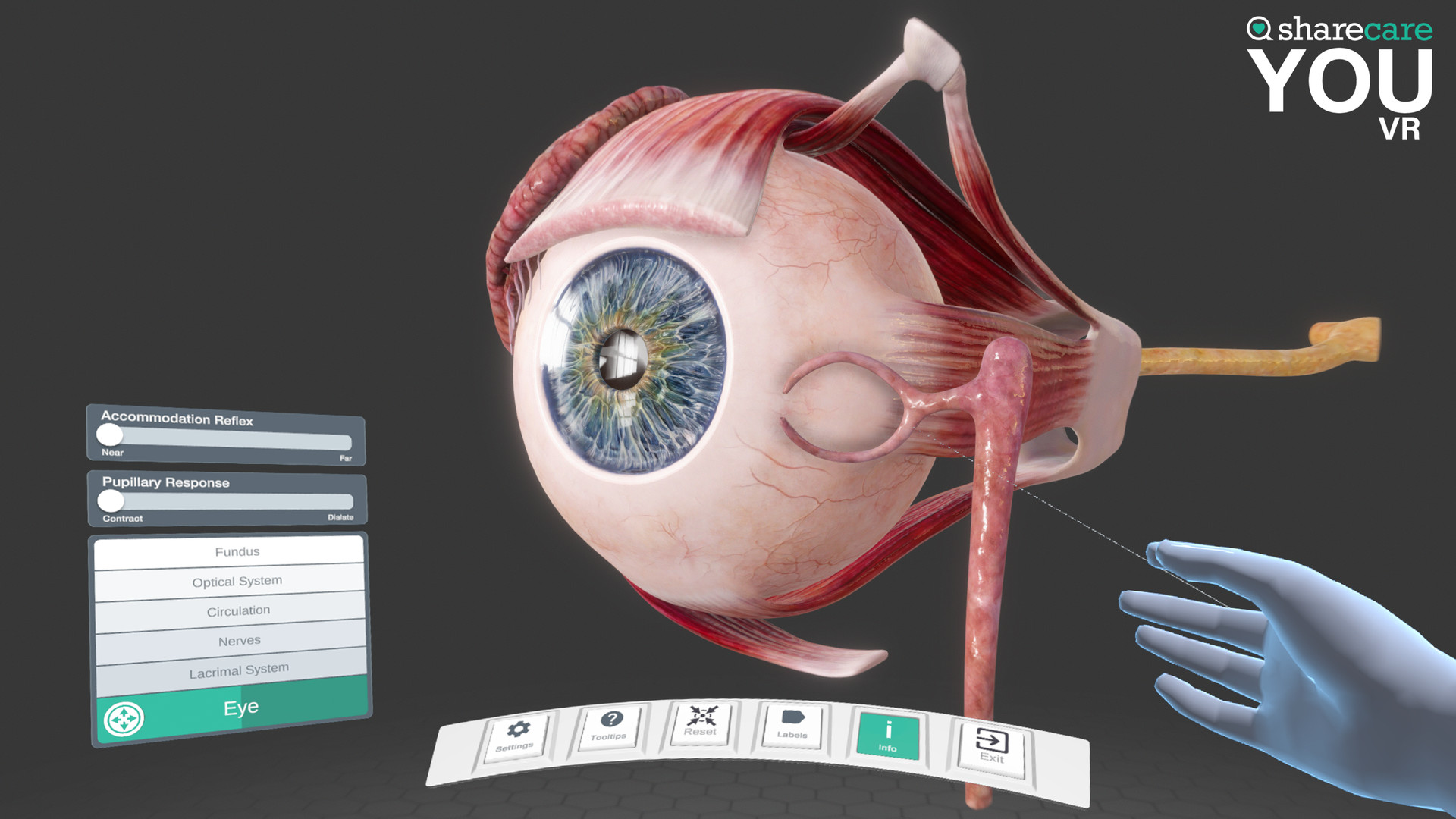 器官解刨学（Sharecare YOU VR）Steam VR 最新游戏下载
