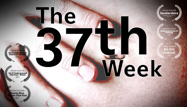 The 37th Week Steam capsule image