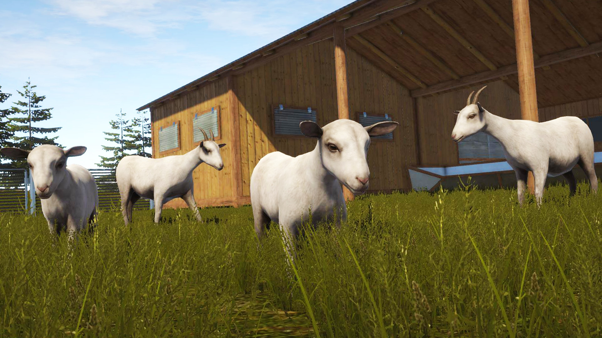 Ranch Simulator Gaots and Bee Free Download