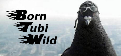 Born Tubi Wild header