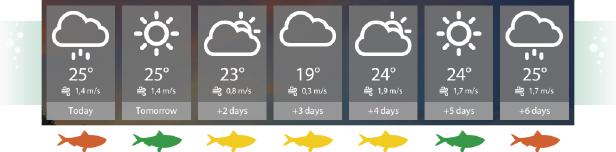 RF4_STEAM-WEATHER.png