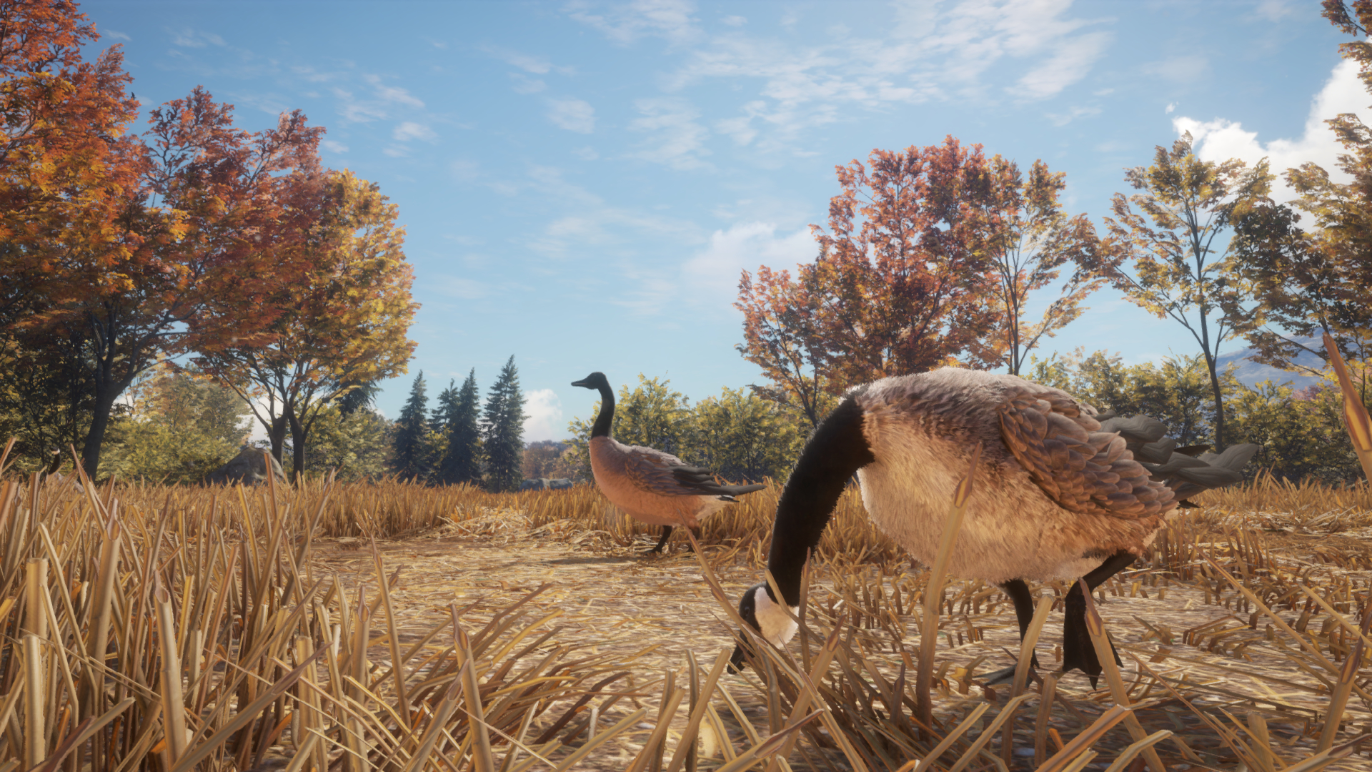 Steam Thehunter Call Of The Wild New Species 18