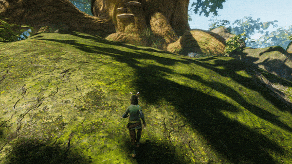 TreeLookingup