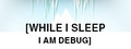While I Sleep I am Debug