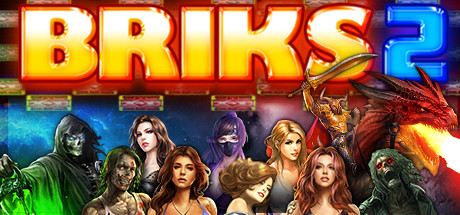 BRIKS 2 Cover Image