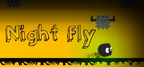 Night Fly