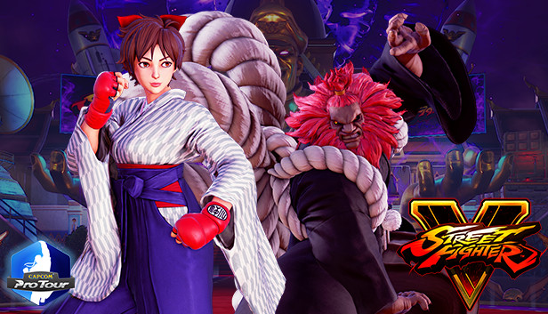Street Fighter V - Capcom Pro Tour: 2018 Premier Pass Steam capsule image