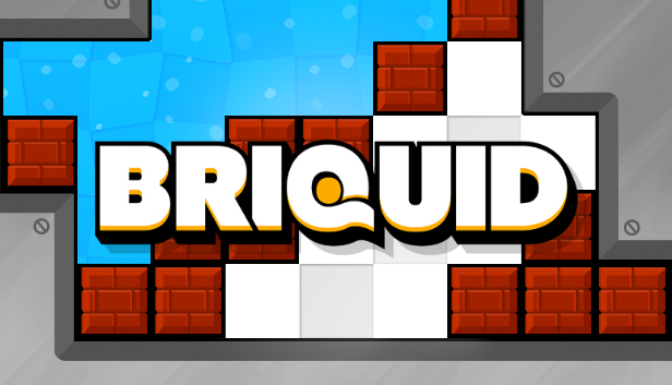 Briquid Steam capsule image