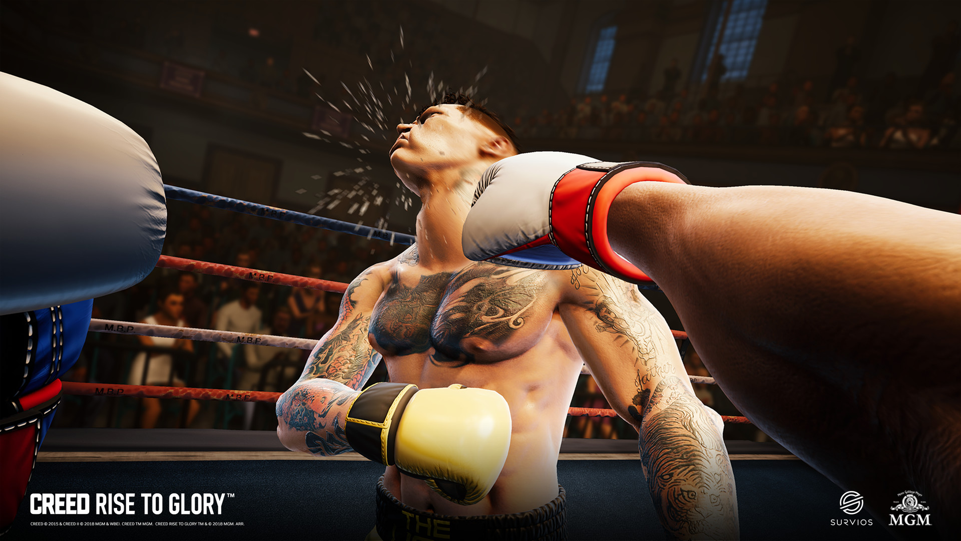 Creed vr bundle new arrivals