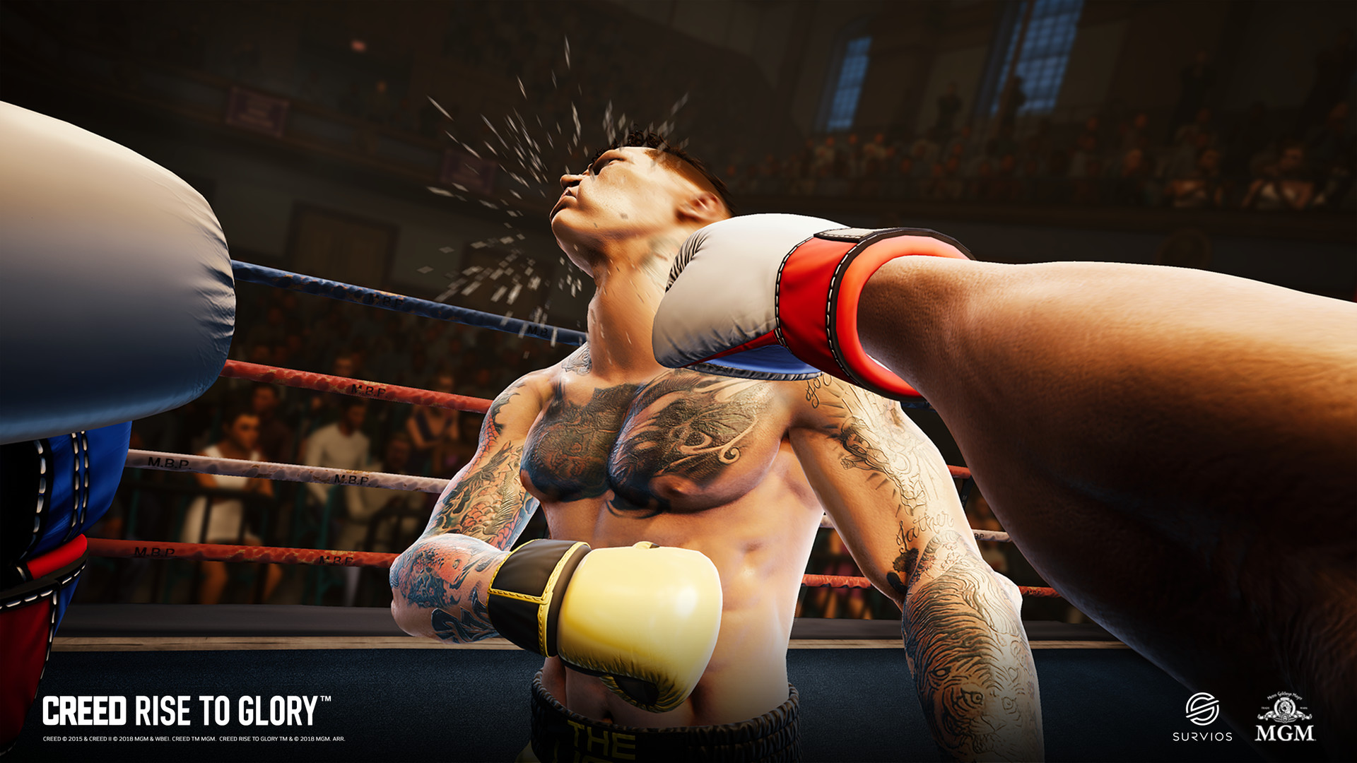 Oculus Quest 游戏《Creed: Rise to Glory》奎恩拳击 -荣耀擂台