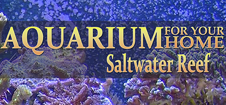 Aquarium For Your Home: Salt Water Reef header image