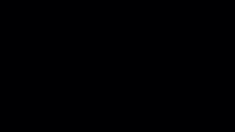 gif_DiscChase.gif