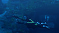 tomb raider underworld octopus tomb raider underworld octopus