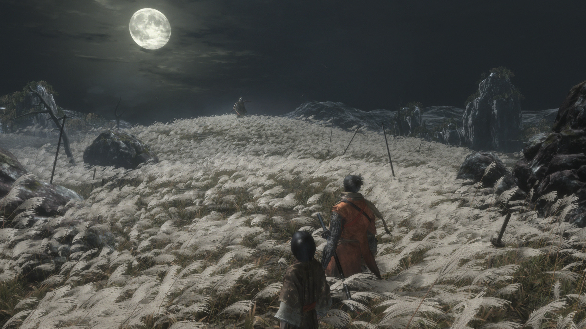 只狼：影逝二度/Sekiro：Shadows Die Twice（更新1.06年度版）插图2