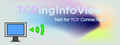 TCPingInfoView