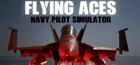 Baixar Flying Aces – Navy Pilot Simulator Torrent